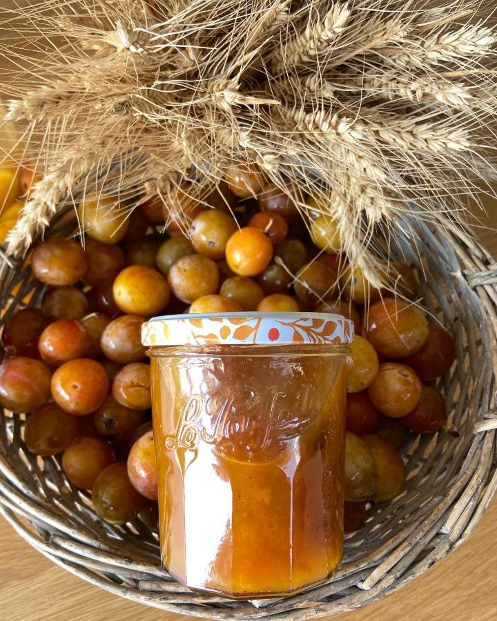 Cosy Appart Numero 2 كونْتْريكْسّوفيل المظهر الخارجي الصورة